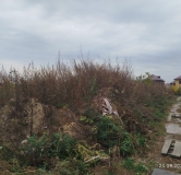 Ход строительства дома 8 в ЖК Расцветай на Зорге -