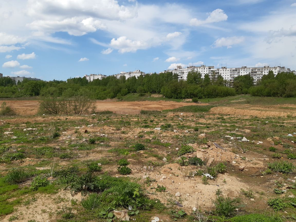 Мэрия Нижнего Новгорода выставила на торги два земельных участка в Кузнечихе для ИЖС - фото 1