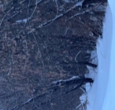 Ход строительства дома 1, секция 1.1 в ЖК Расцветай в Новолуговом -