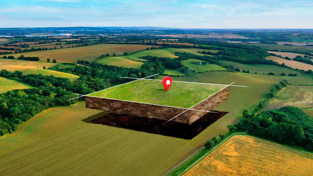 В Ростовской области по иску прокурора более 100 га земель сельскохозяйственного назначения изъяты из незаконного пользования - Фото 1