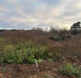 Ход строительства дома 8.3 в ЖК Форест -