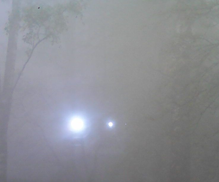 Богородск накрыло дымом от горящей свалки - фото 1