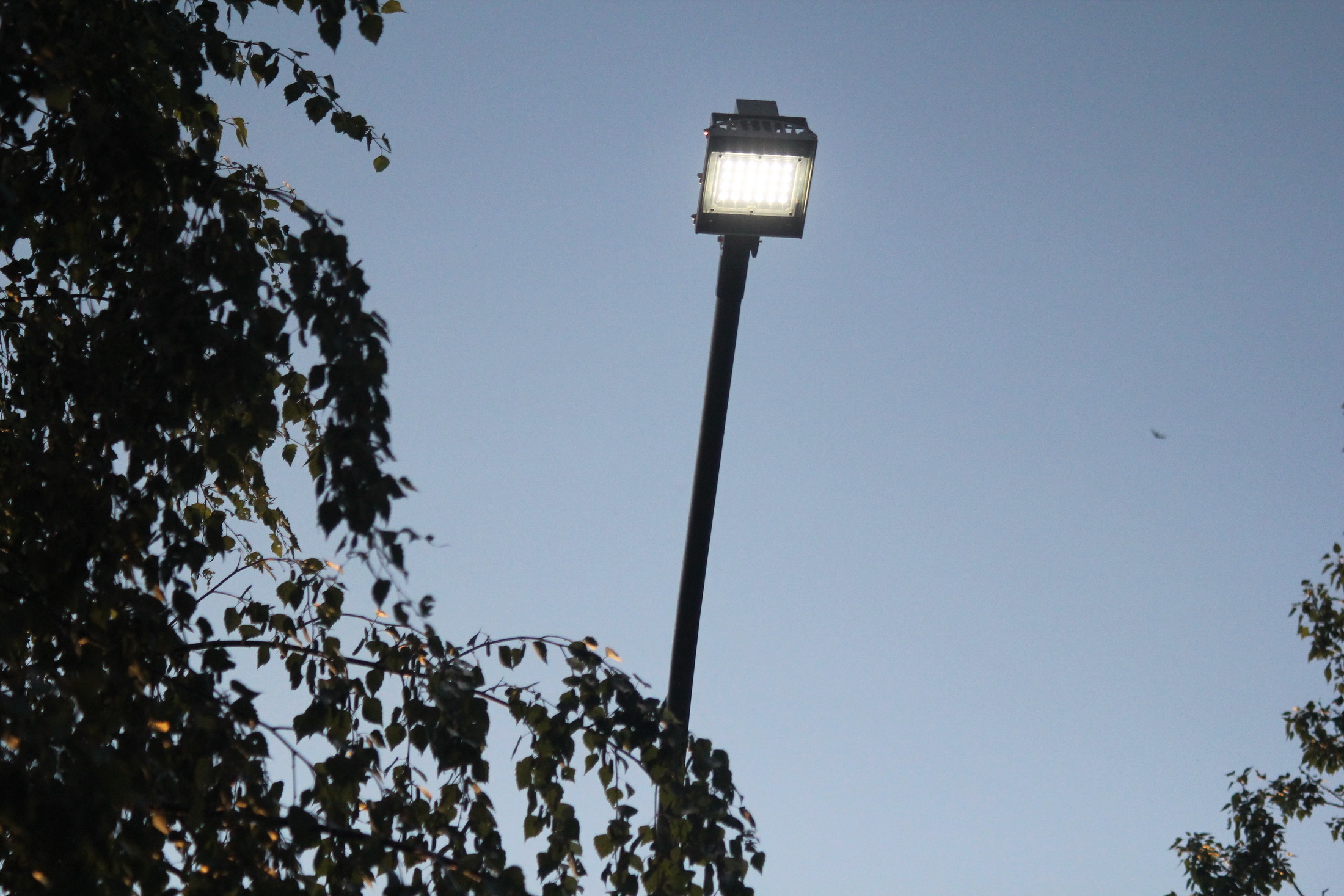 Улицу Тропинина оснастили светодиодными лампами. Пока освещение работает в полсилы - фото 2
