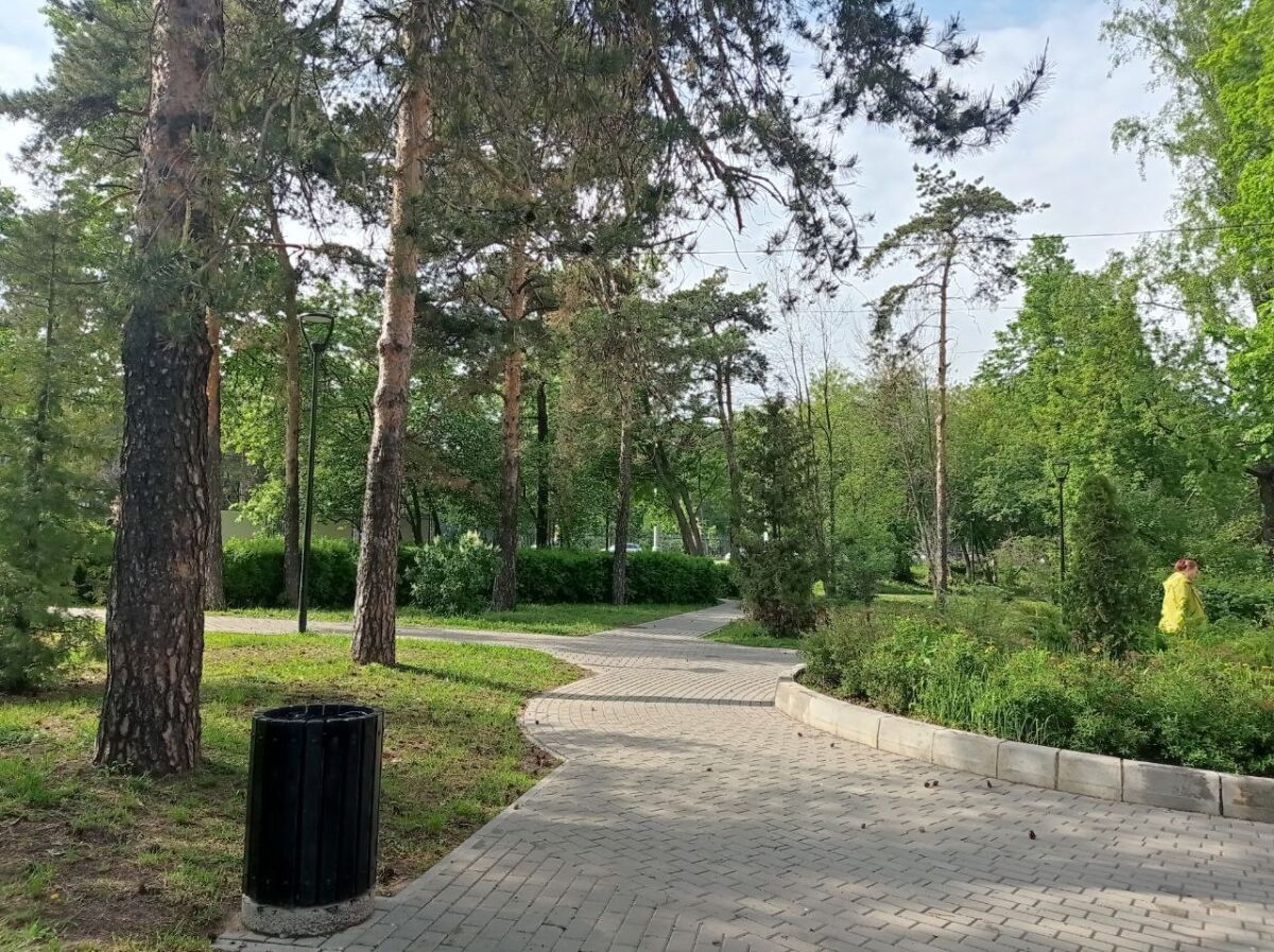 Определен подрядчик для благоустройства парка 777-летия и сквера Комарова - фото 1