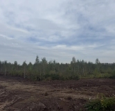 Ход строительства дома 103 в ЖК По ул. Ковалева -