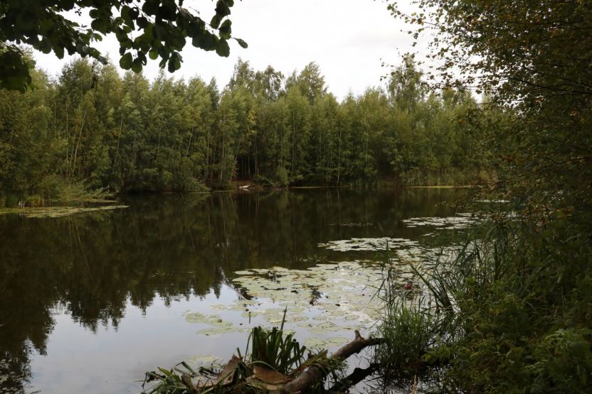Опубликованы фото площадку под КРТ для застройки Бурнаковской низины - фото 1