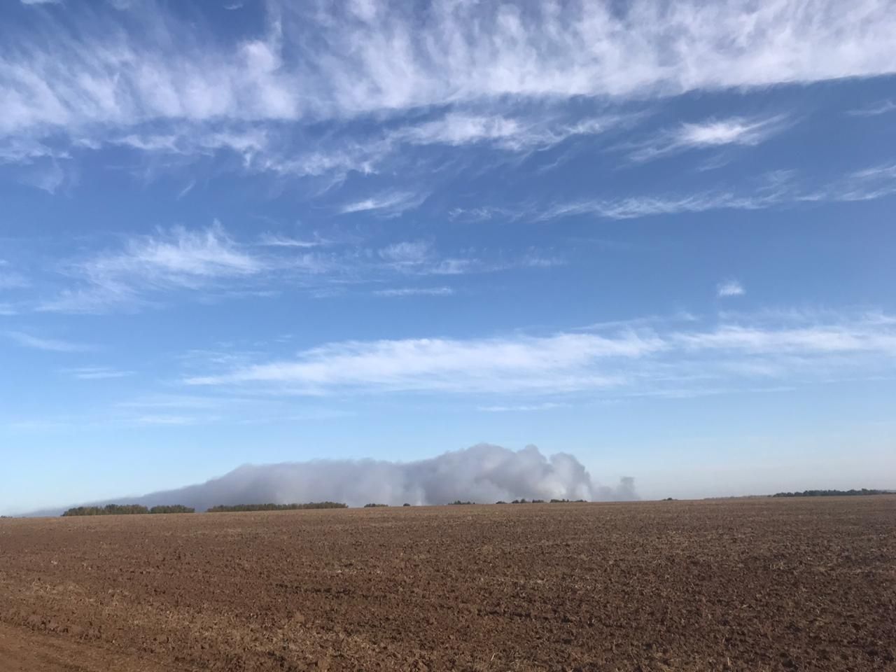 Богородск накрыло дымом от горящей свалки - фото 1