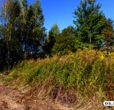 Ход строительства дома 2.4 в ЖК Рязанка Грин -