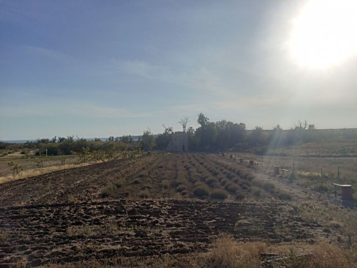 Донские власти просят узаконить перевод сельхозземель по старым лицензиям - фото 1