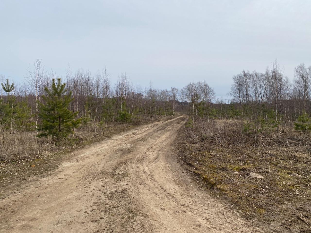 Дорогу к трем деревням Дальнеконстантиновского района отремонтировали за 57 млн - фото 1