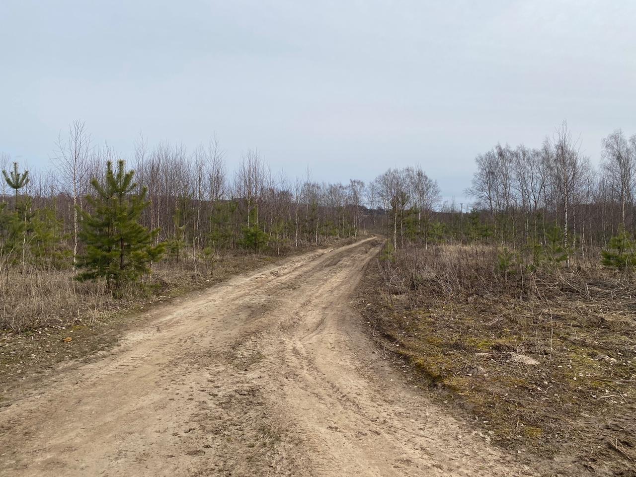 Подрядчиков на ремонт дорог в 2021 году определили в Нижегородской области - фото 1