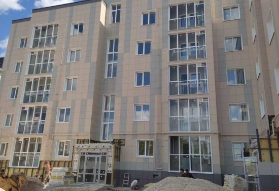 Дом 317 в ЖК Луговой