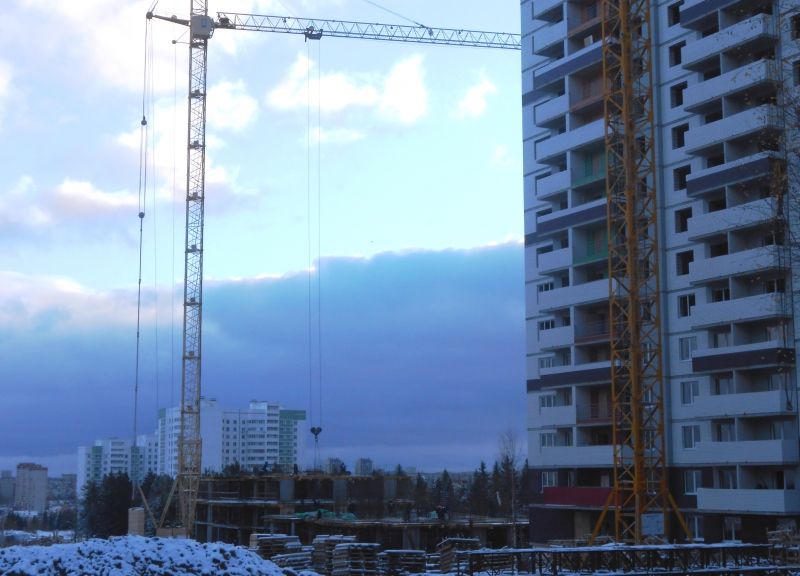 Дом 5 в ЖК Стрижи (Тишино) - фото 5