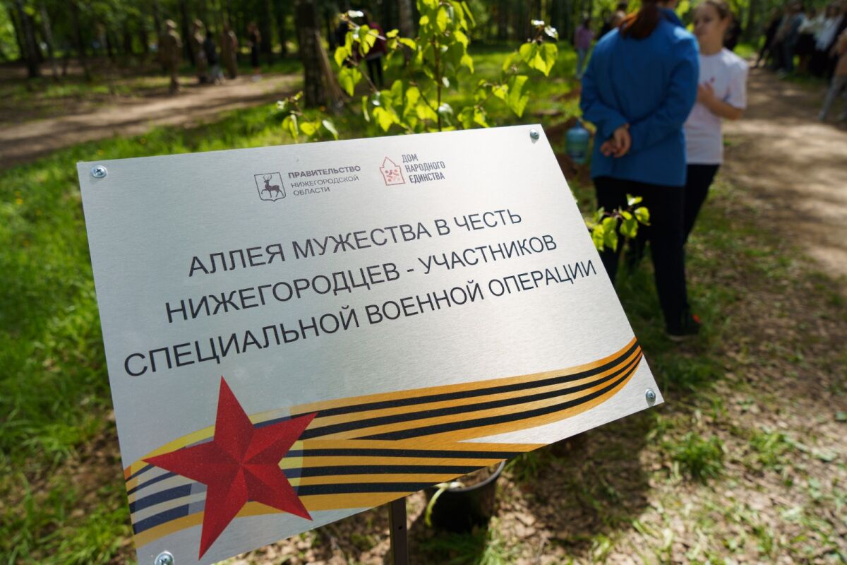 Аллею мужества в честь участников СВО открыли в Нижнем Новгороде - фото 1